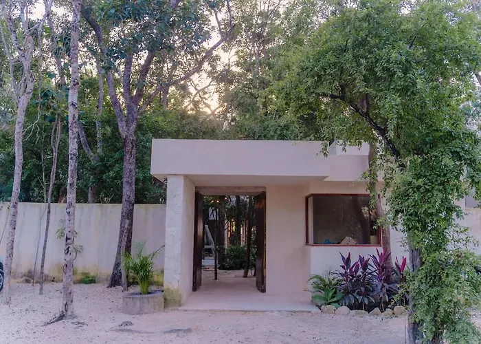 Holistika 3br Jungle Escape With Plunge Pool * Tulum